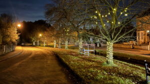 Lit up trees along the beck. 